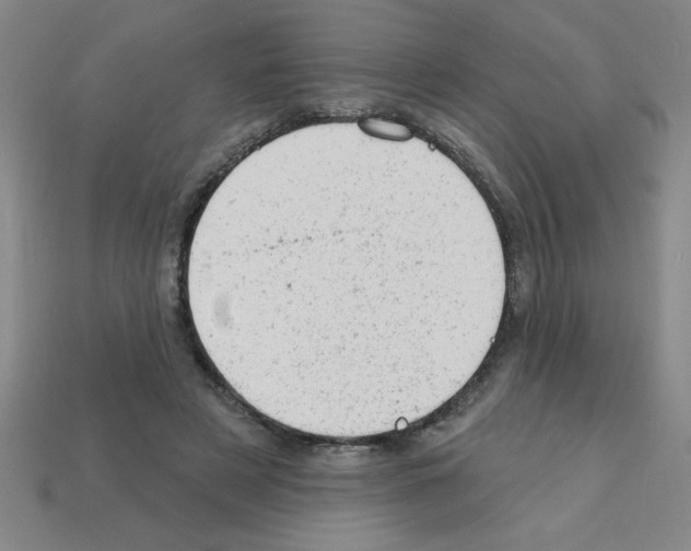 X0000111940497200909071302