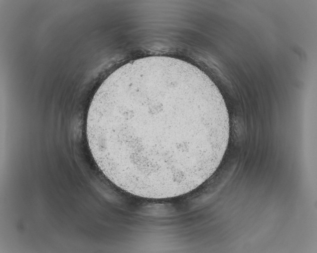 X0000111940499200909071302