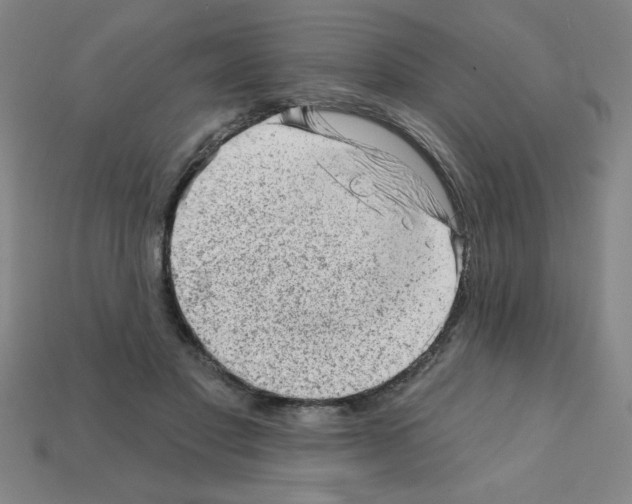 X0000111940501200909071302
