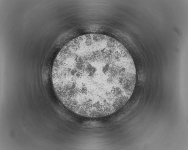 X0000111940503200909071302