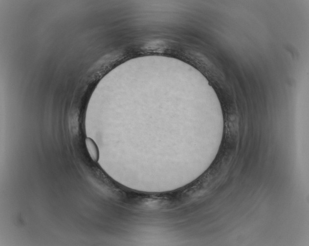 X0000111940504200909071302
