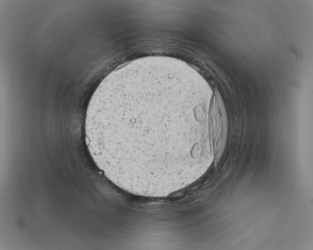 X0000111940505200909071302
