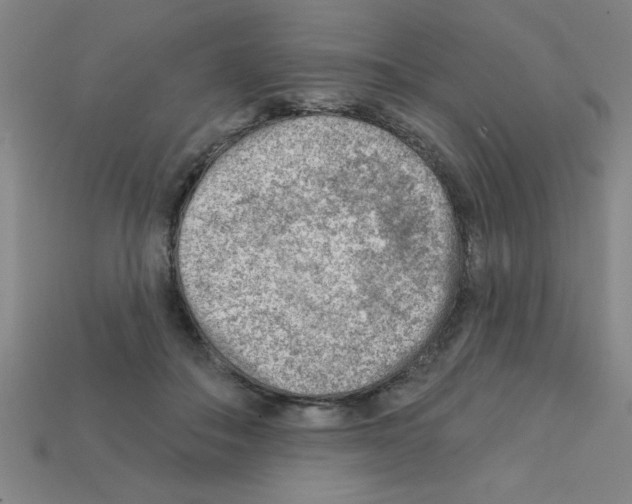 X0000111940506200909071302