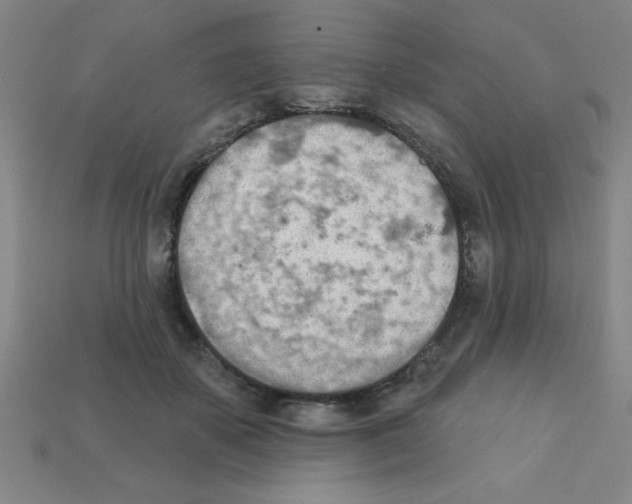 X0000111940507200909071302