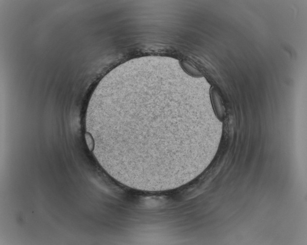 X0000111940508200909071302