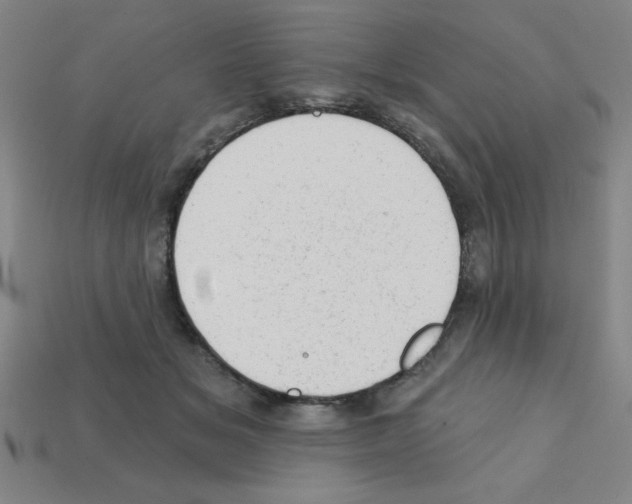 X0000111940509200909071302