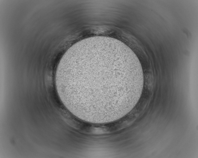 X0000111940510200909071302