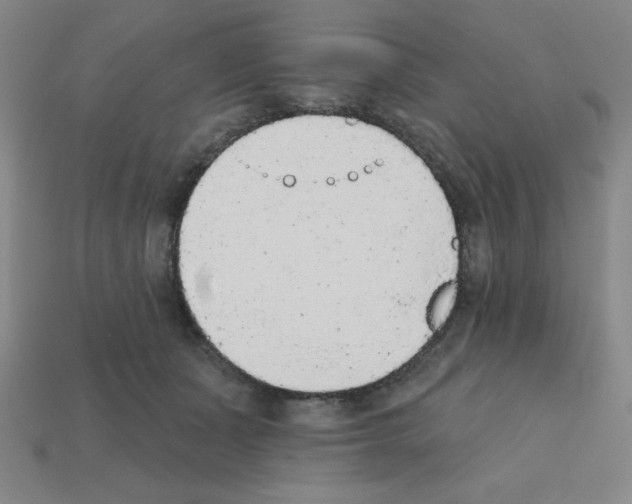 X0000111940511200909071302