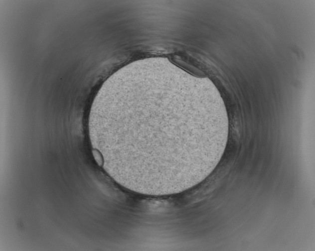 X0000111940512200909071302