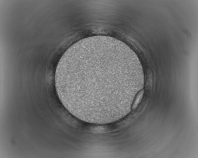 X0000111940513200909071302
