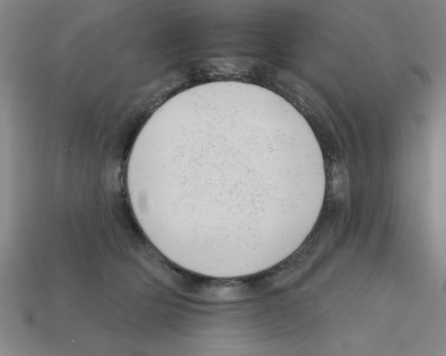 X0000111940514200909071302