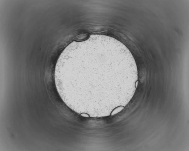 X0000111940515200909071302