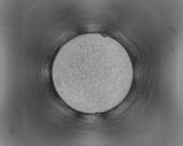 X0000111940516200909071302