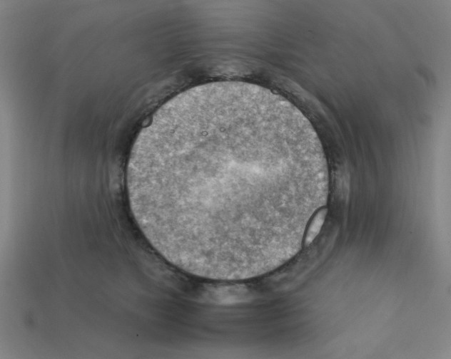 X0000111940517200909071302