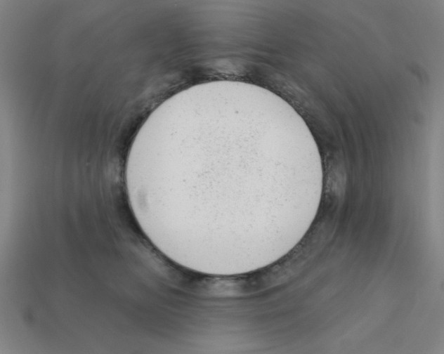 X0000111940518200909071302