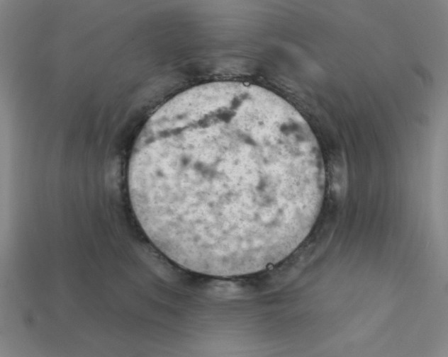 X0000111940519200909071302