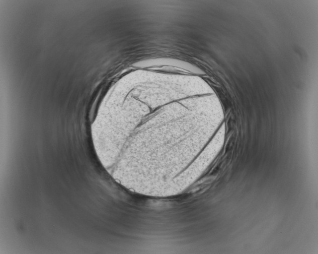 X0000111940520200909071302
