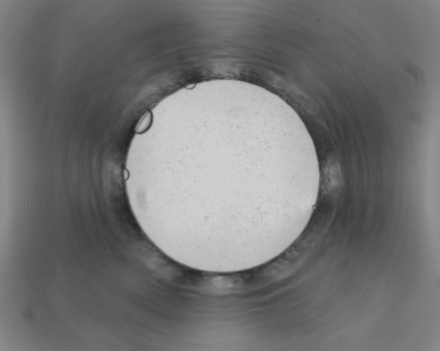 X0000111940522200909071302