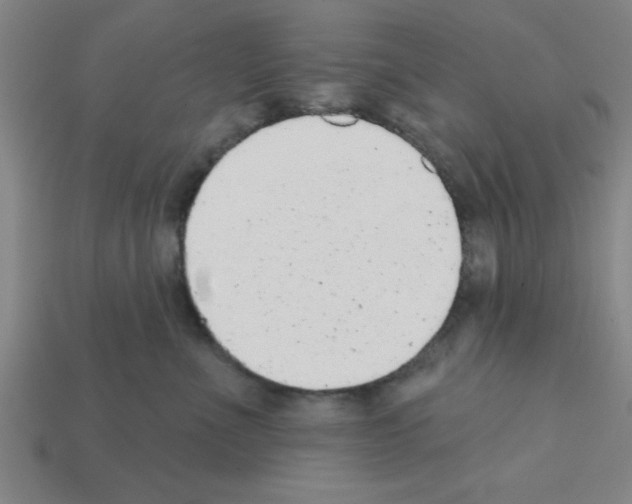 X0000111940523200909071302