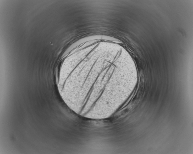 X0000111940524200909071302
