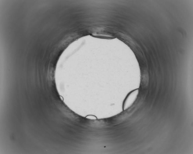 X0000111940525200909071302