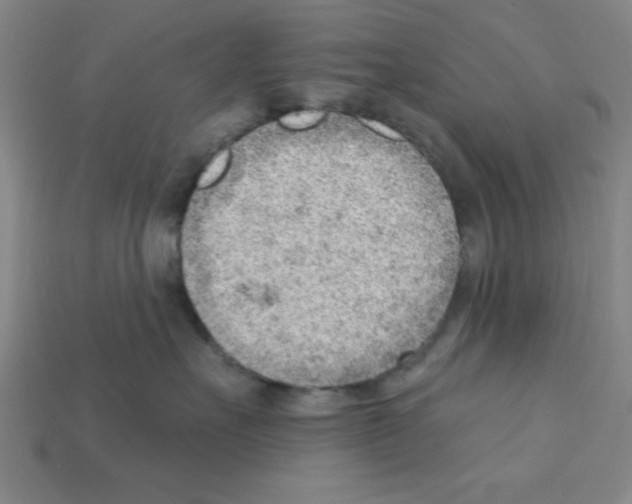 X0000111940527200909071302