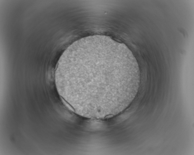 X0000111940528200909071302