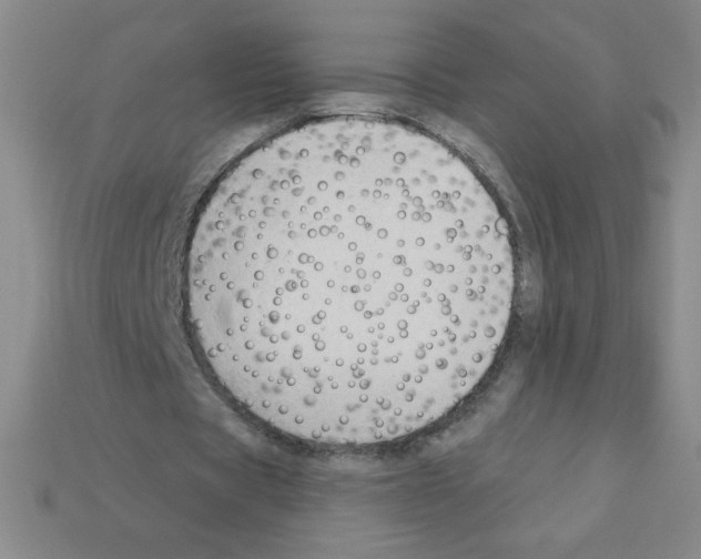 X0000111940529200909071301