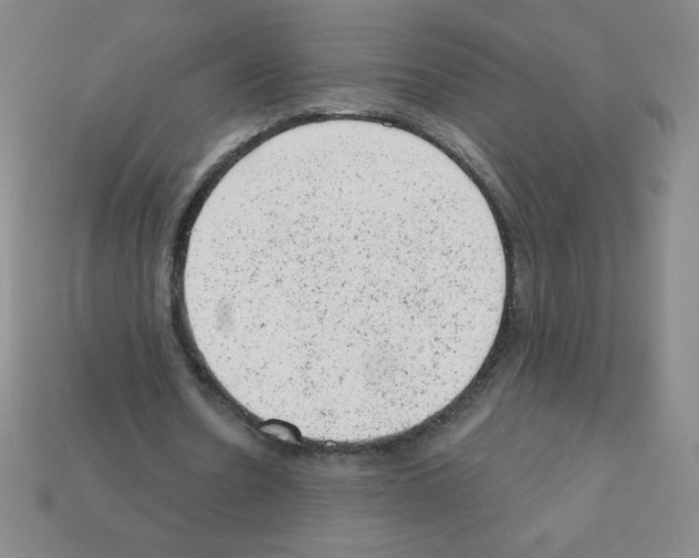 X0000111940530200909071301