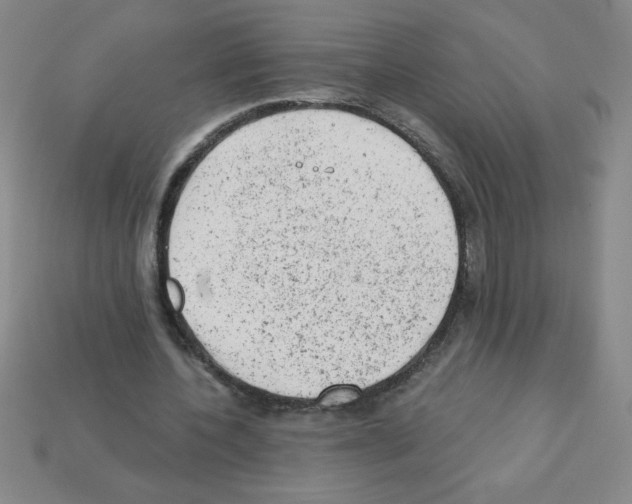 X0000111940532200909071301