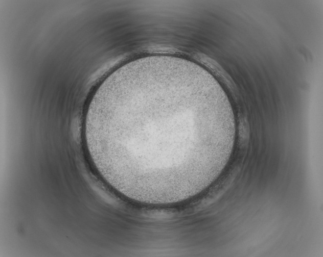 X0000111940533200909071301
