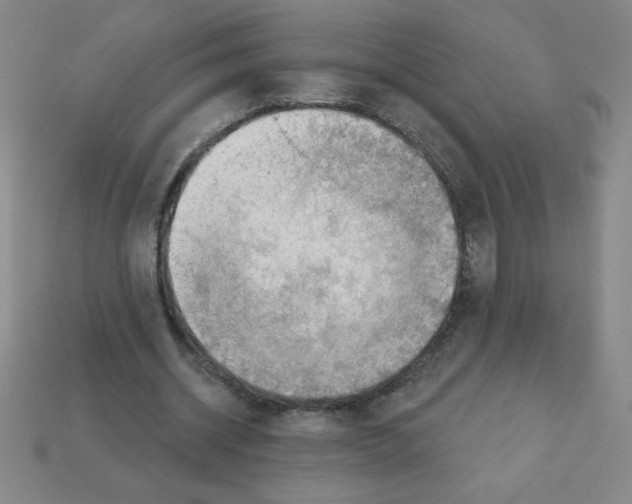 X0000111940534200909071301