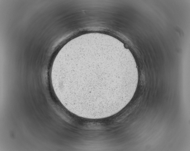 X0000111940535200909071301