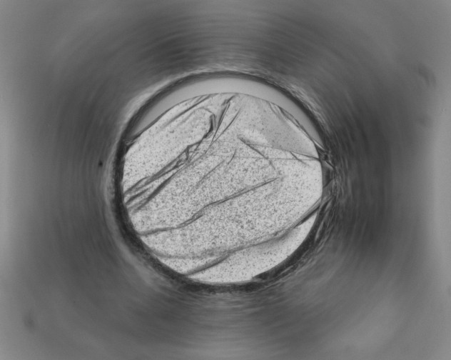 X0000111940536200909071301