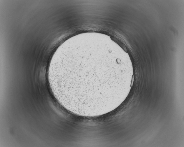 X0000111940538200909071301