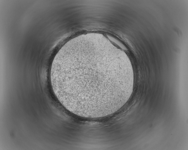 X0000111940539200909071302