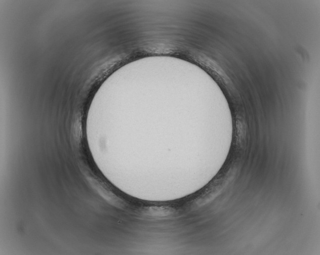 X0000111940541200909071302