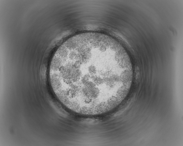 X0000111940542200909071302
