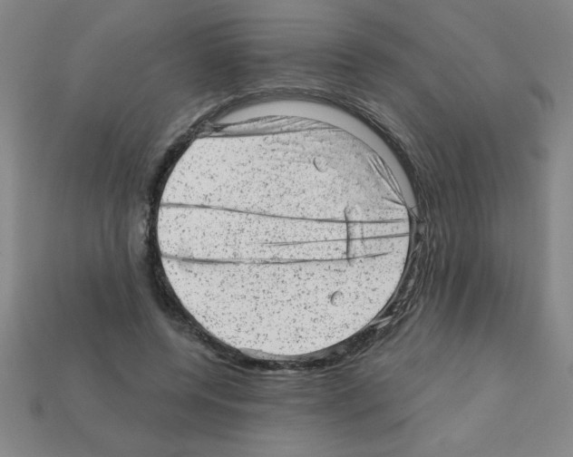 X0000111940544200909071302