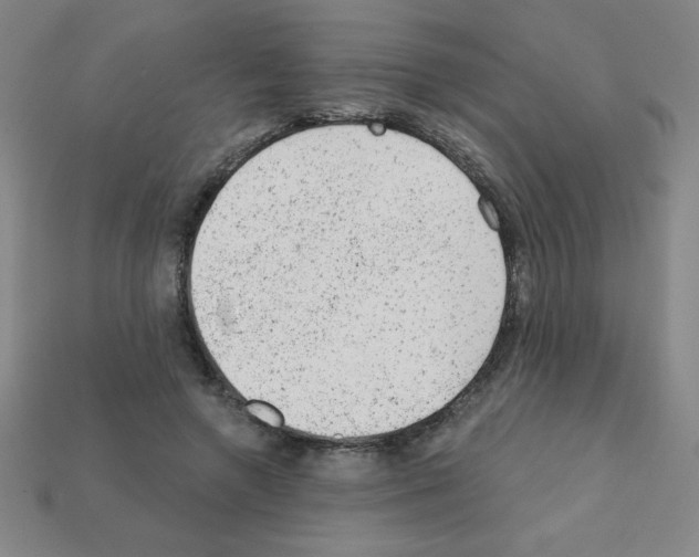 X0000111940546200909071302
