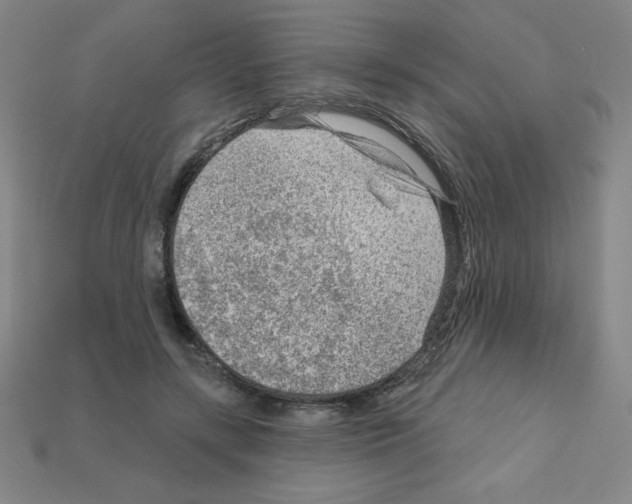 X0000111940547200909071302