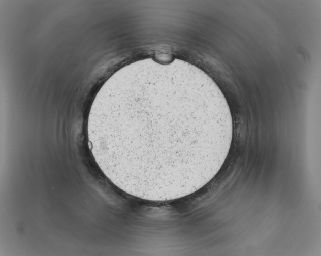 X0000111940548200909071302