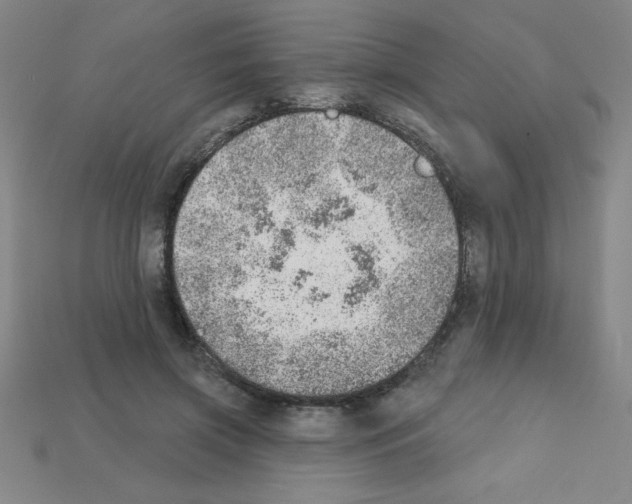 X0000111940549200909071302