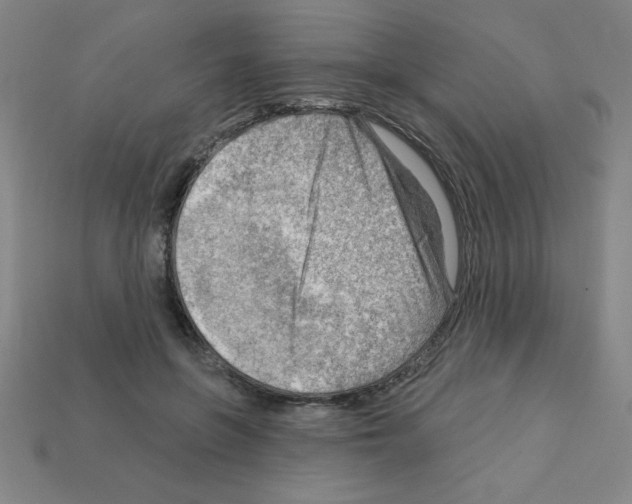 X0000111940551200909071302