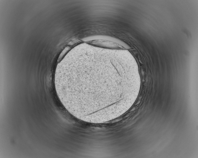 X0000111940552200909071302