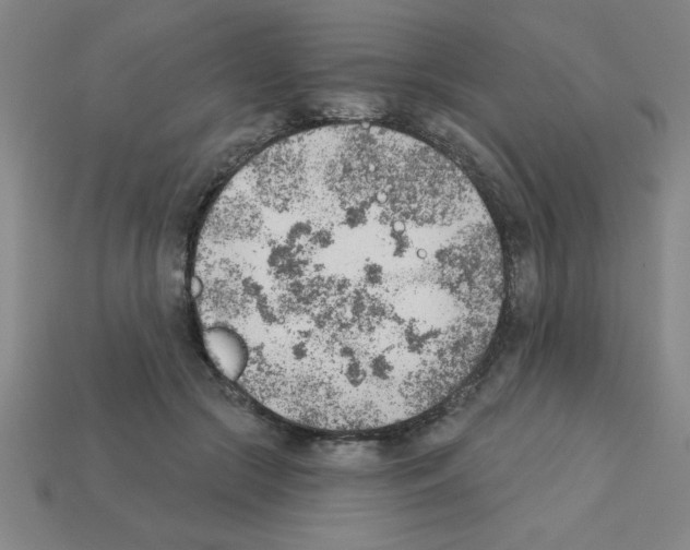 X0000111940553200909071302