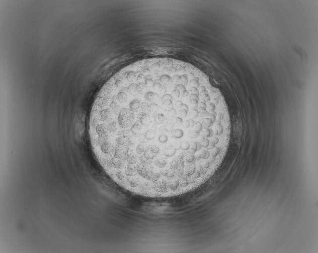 X0000111940554200909071302