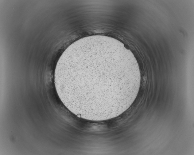 X0000111940555200909071302