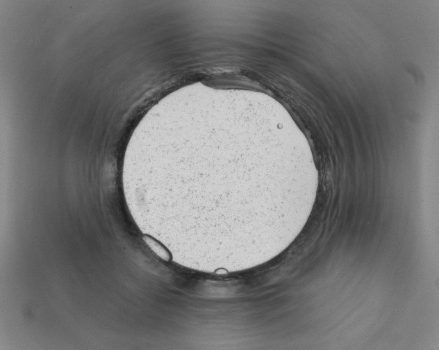 X0000111940556200909071302