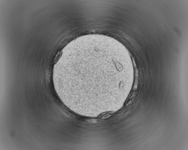 X0000111940558200909071302